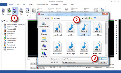 Input an Audio File